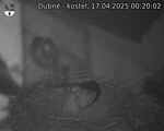 Capi_Dubne_20250417_002002.jpg