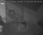 Capi_Dubne_20250417_003002.jpg