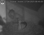 Capi_Dubne_20250417_004503.jpg