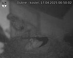 Capi_Dubne_20250417_005002.jpg