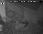 Capi_Dubne_20250417_005502.jpg