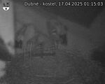 Capi_Dubne_20250417_011503.jpg