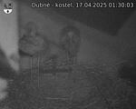 Capi_Dubne_20250417_013003.jpg