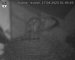 Capi_Dubne_20250417_014503.jpg