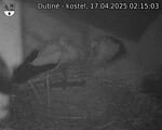 Capi_Dubne_20250417_021503.jpg