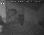 Capi_Dubne_20250417_043502.jpg