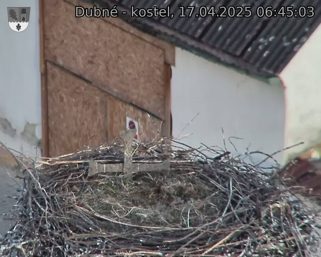 Capi_Dubne_20250417_064503.jpg (1350 x 1080)