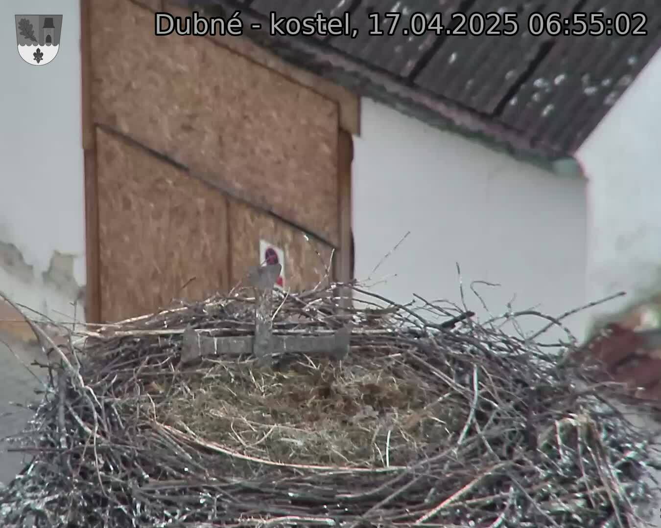 Capi_Dubne_20250417_065502.jpg (1350 x 1080)