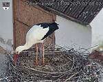 Capi_Dubne_20250417_070002.jpg