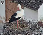 Capi_Dubne_20250417_071003.jpg