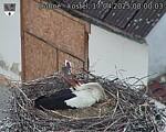 Capi_Dubne_20250417_080003.jpg