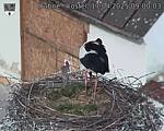 Capi_Dubne_20250417_090003.jpg