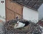 Capi_Dubne_20250417_120003.jpg