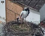 Capi_Dubne_20250417_131002.jpg