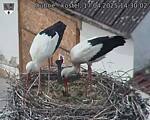 Capi_Dubne_20250417_143002.jpg