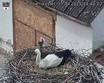 Capi_Dubne_20250417_144002.jpg