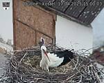 Capi_Dubne_20250417_150003.jpg