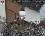 Capi_Dubne_20250417_151503.jpg