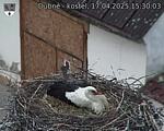 Capi_Dubne_20250417_153003.jpg