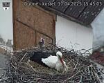 Capi_Dubne_20250417_154503.jpg