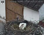 Capi_Dubne_20250417_155003.jpg