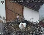 Capi_Dubne_20250417_155503.jpg