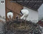Capi_Dubne_20250417_160502.jpg