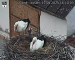 Capi_Dubne_20250417_161003.jpg