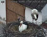 Capi_Dubne_20250417_162003.jpg