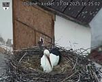 Capi_Dubne_20250417_162502.jpg