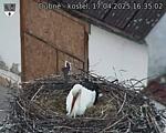 Capi_Dubne_20250417_163502.jpg