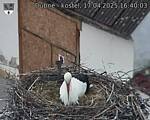 Capi_Dubne_20250417_164003.jpg