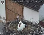 Capi_Dubne_20250417_164503.jpg