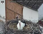 Capi_Dubne_20250417_165003.jpg