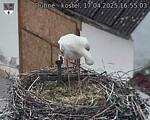 Capi_Dubne_20250417_165503.jpg