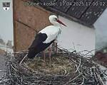 Capi_Dubne_20250417_170002.jpg