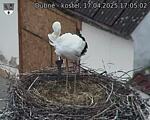 Capi_Dubne_20250417_170502.jpg