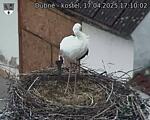 Capi_Dubne_20250417_171003.jpg