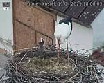 Capi_Dubne_20250417_180003.jpg