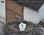 Capi_Dubne_20250417_181002.jpg