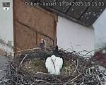 Capi_Dubne_20250417_181503.jpg