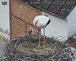 Capi_Dubne_20250417_183002.jpg
