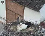 Capi_Dubne_20250417_185002.jpg