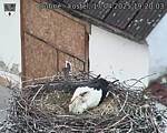Capi_Dubne_20250417_192003.jpg