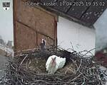 Capi_Dubne_20250417_193502.jpg