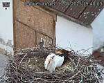 Capi_Dubne_20250417_194003.jpg