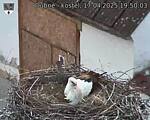 Capi_Dubne_20250417_195003.jpg