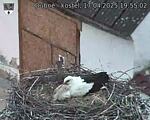 Capi_Dubne_20250417_195502.jpg