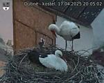 Capi_Dubne_20250417_200502.jpg