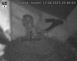 Capi_Dubne_20250417_204003.jpg